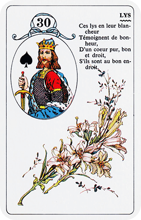petit-lenormand-30-lys